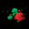 VIT®-Testkit, Nitri-VIT®