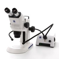 ZEISS Stereomikroskop Stemi 508 mit Stativ K, CL 4500 LED und Schwanenhals-Lichtleiter 2x